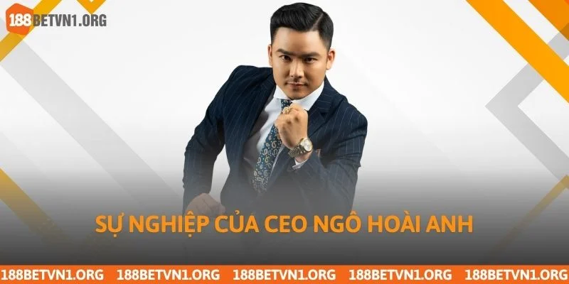 Sự nghiệp của CEO Ngô Hoài Anh