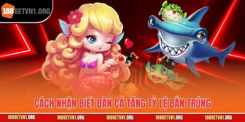 Chiến Thuật Bắn Cá Theo Đàn - Tối Ưu Chiến Lược Chinh Phục Mọi Trận 2 Cách nhận biết đàn cá tăng tỷ lệ bắn trúng