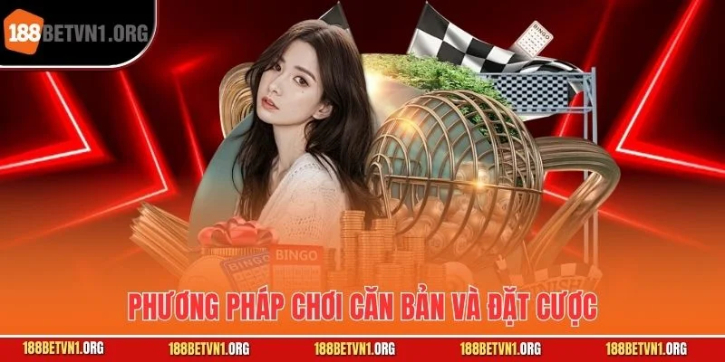 Đề Kép Là Gì? Bí Ẩn Số Đôi Thu Hút Người Chơi Xổ Số Hấp Dẫn 2 Phương pháp chơi căn bản và đặt cược